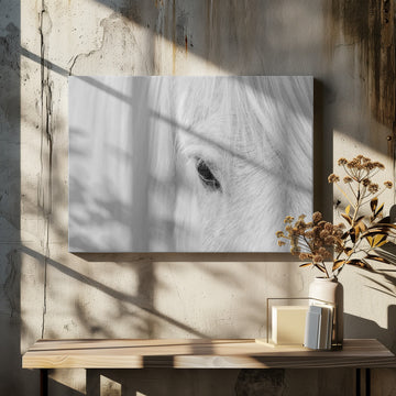 White Horse Gaze | Canvas - Room Interior 2