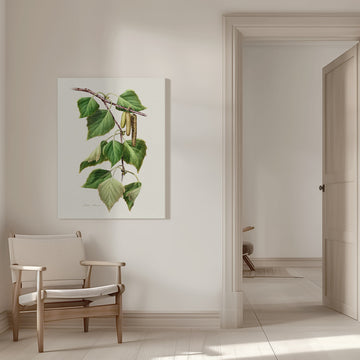 Birch Leaves and Catkins | Canvas - Room Interior 1