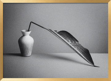 Monochrome Botanical Study | Poster - Gold Frame Interior