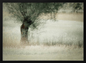 Willow | Poster - Black Metal Frame Interior