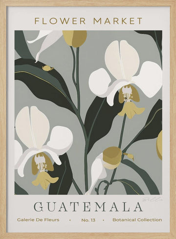 Tropical Guatemala Orchids | Poster - Wood Frame Interior
