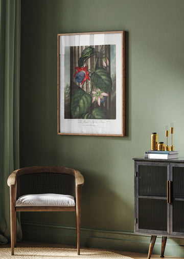 The Winged Passion-Flower from The Temple of Flora (1807) | Poster - Room Interior 2