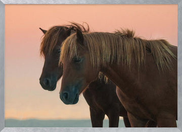 Peaceful Wild Horses | Poster - Silver Frame Interior