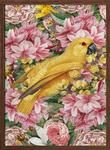 Yellow Parrot Tropical Flowers | Poster - Walnut Frame Interior