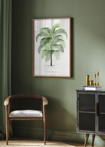 Xi Cocos Weddeliana | Poster - Room Interior 2