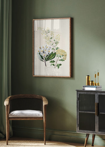 Senecio Drawn By Sarah Featon (1848–1927) | Poster - Room Interior 2