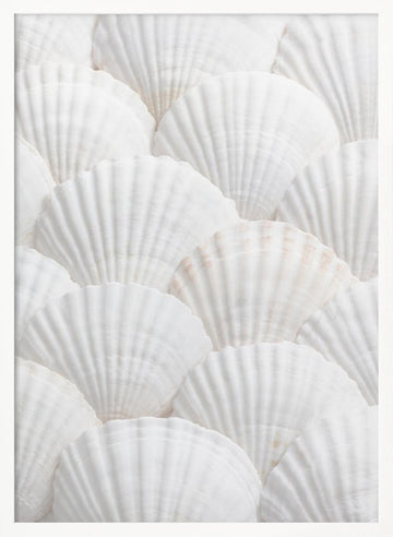 Pristine White Scallops | Poster - White Frame Interior