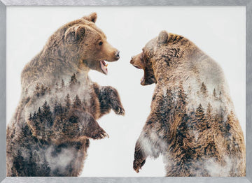 Roaring Forest Bears | Poster - Silver Frame Interior