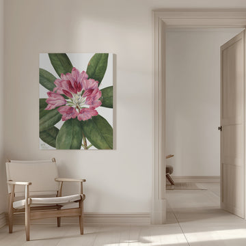 Mountain Rose Bay (1932) | Canvas - Room Interior 1