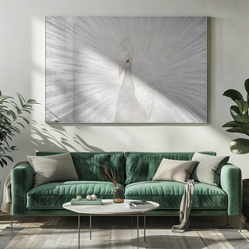 Majestic White Peacock | Poster - Room Interior 1