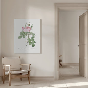 Rosa Bifera Officinalis,les Roses (1817–1824) | Canvas - Room Interior 1