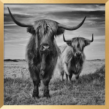 Highlands | Poster - Gold Frame Interior
