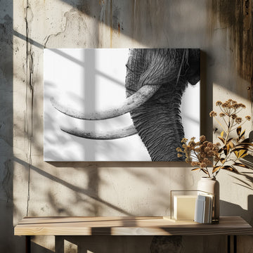 Wild Elephant Close Up | Canvas - Room Interior 2