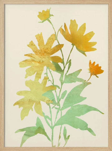 Yellow Botanical Bloom | Poster - Wood Frame Interior