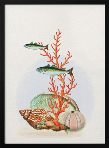 Marine Life Collection | Poster - Black Metal Frame Interior