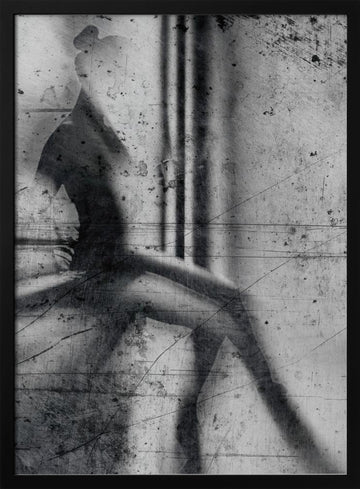Shadow Dancer | Poster - Black Metal Frame Interior