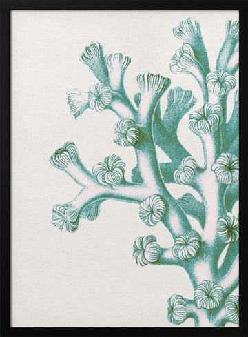 Serene Teal Coral | Poster - Black Metal Frame Interior