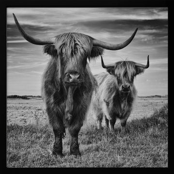 Highlands | Poster - Black Metal Frame Interior