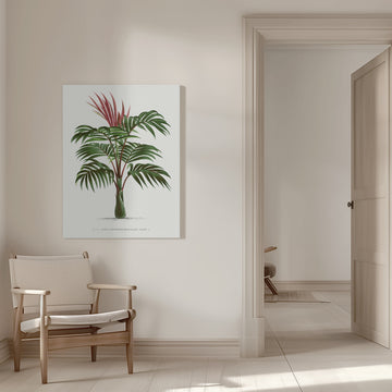 Kentiopsis | Canvas - Room Interior 1