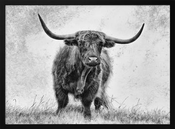 Majestic Highland Cow | Poster - Black Metal Frame Interior