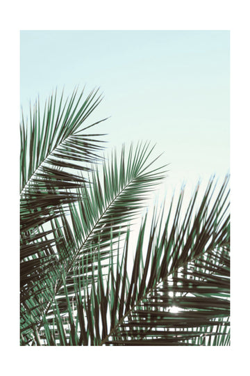 Tropical Palm Fronds | Poster - Passepartout