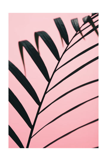 Pink Palm Leaf | Poster - Passepartout