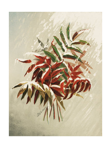 Leaves In Snow | Poster - Passepartout