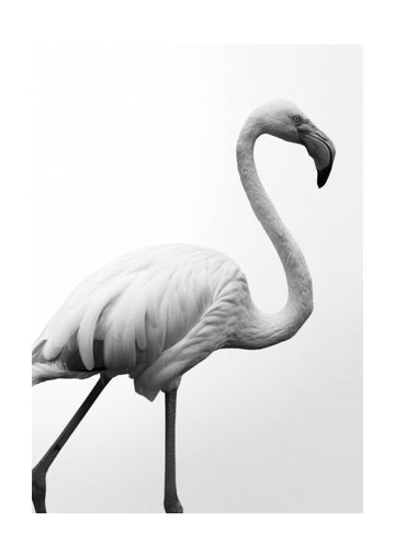 Graceful Silhouette | Poster - Passepartout