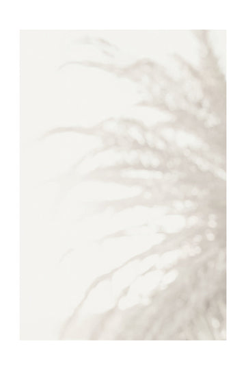 Soft Pampas Light | Poster - Passepartout