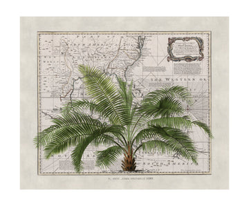 Vintage Map Palm Tree | Poster - Passepartout