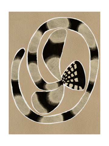 Delicate Bloom 5 | Poster - Passepartout