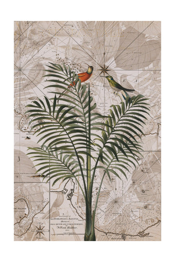 Tropical Birds on Vintage Map | Poster - Passepartout