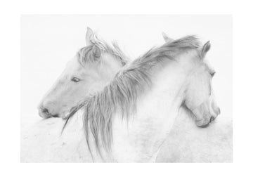 Ethereal White Horses | Poster - Passepartout