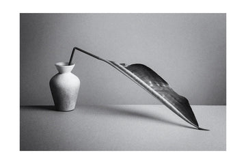 Monochrome Botanical Study | Poster - Passepartout