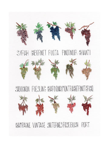Wine Grape Varieties | Poster - Passepartout
