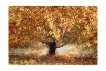 Gold colors | Poster - Passepartout
