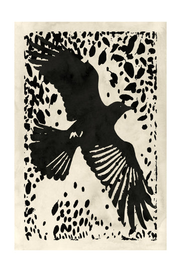 Dark Raven Soaring | Poster - Passepartout