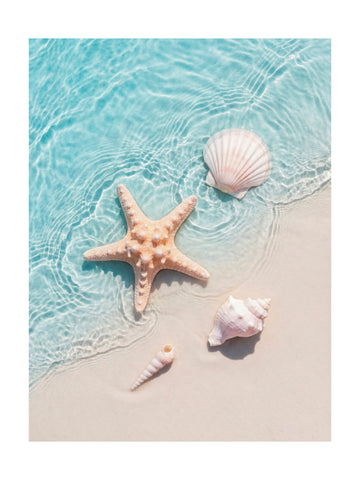 Starfish Seashells Shoreline | Poster - Passepartout