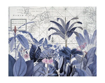 Blue Tropical Map | Poster - Passepartout