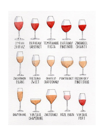 Wine Glass Varieties | Poster - Passepartout