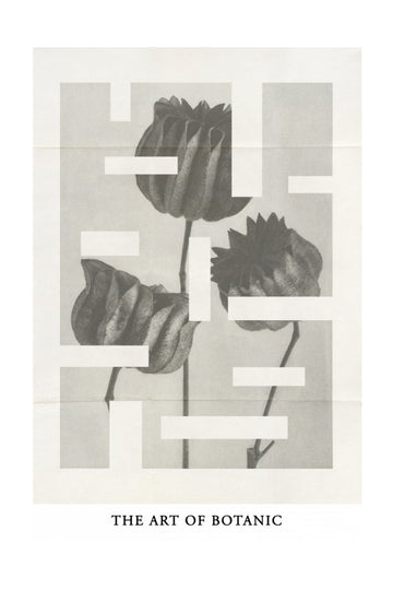 The art of botanic No.1 | Poster - Passepartout