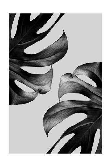 Elegant Monstera Duo | Poster - Passepartout