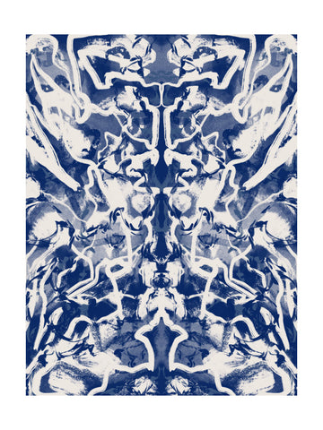 Abstract Fluid Symmetry | Poster - Passepartout