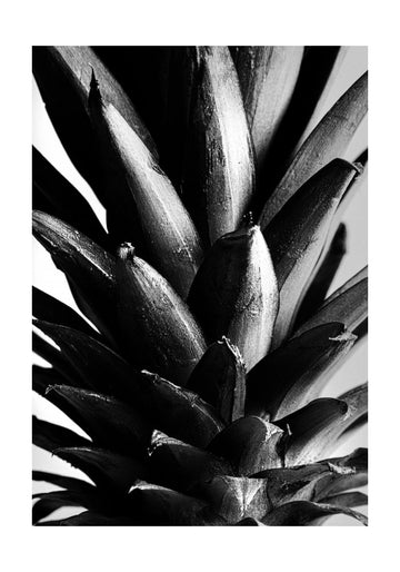 Bold Pineapple Texture | Poster - Passepartout