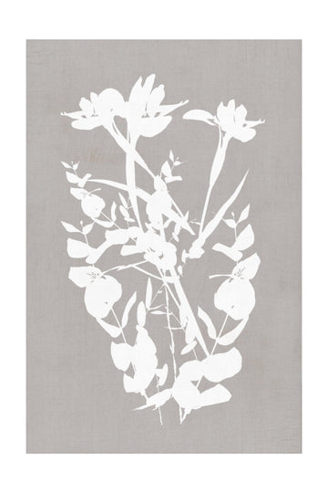 Modern Botanical Silhouettes | Poster - Passepartout