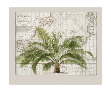Vintage Caribbean Palm Map | Poster - Passepartout