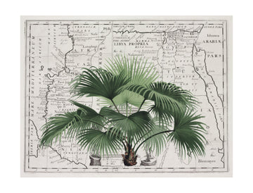Vintage Palm on Africa Map | Poster - Passepartout
