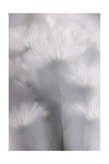 Blurred Flowers 6 | Poster - Passepartout