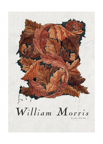 Acanthus | Poster - Passepartout