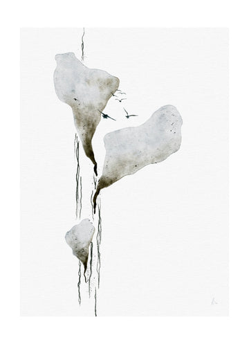 Melting Ice And Birds | Poster - Passepartout